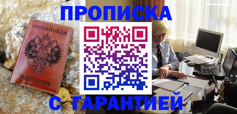 прописка штамп в Лузе